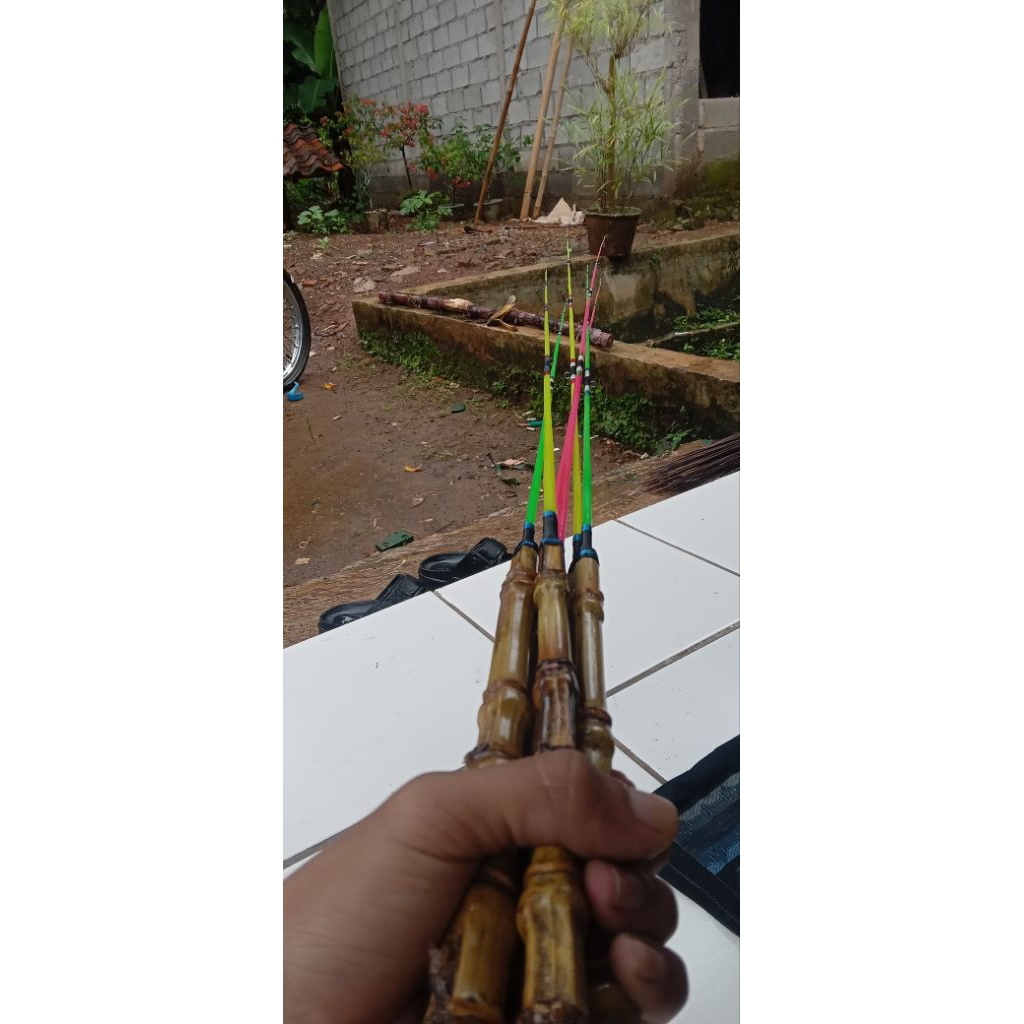 joran gagang bambu cendani warna cocok untuk mancing ikan nilem wader Dll