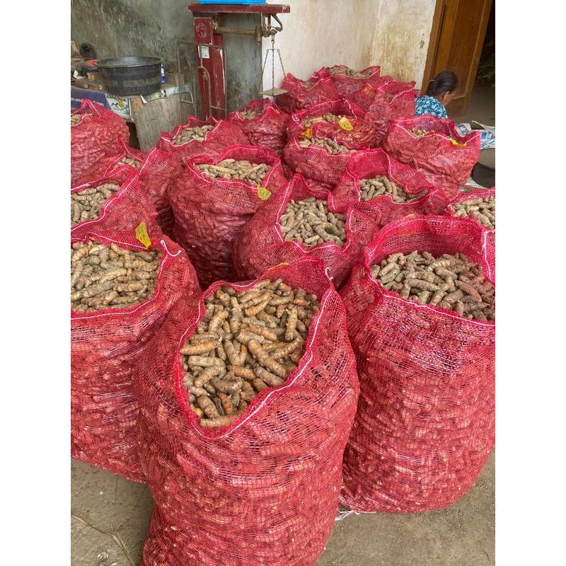 

Kunyit Super 1 Kg Sedang Sampai Besar Fresh
