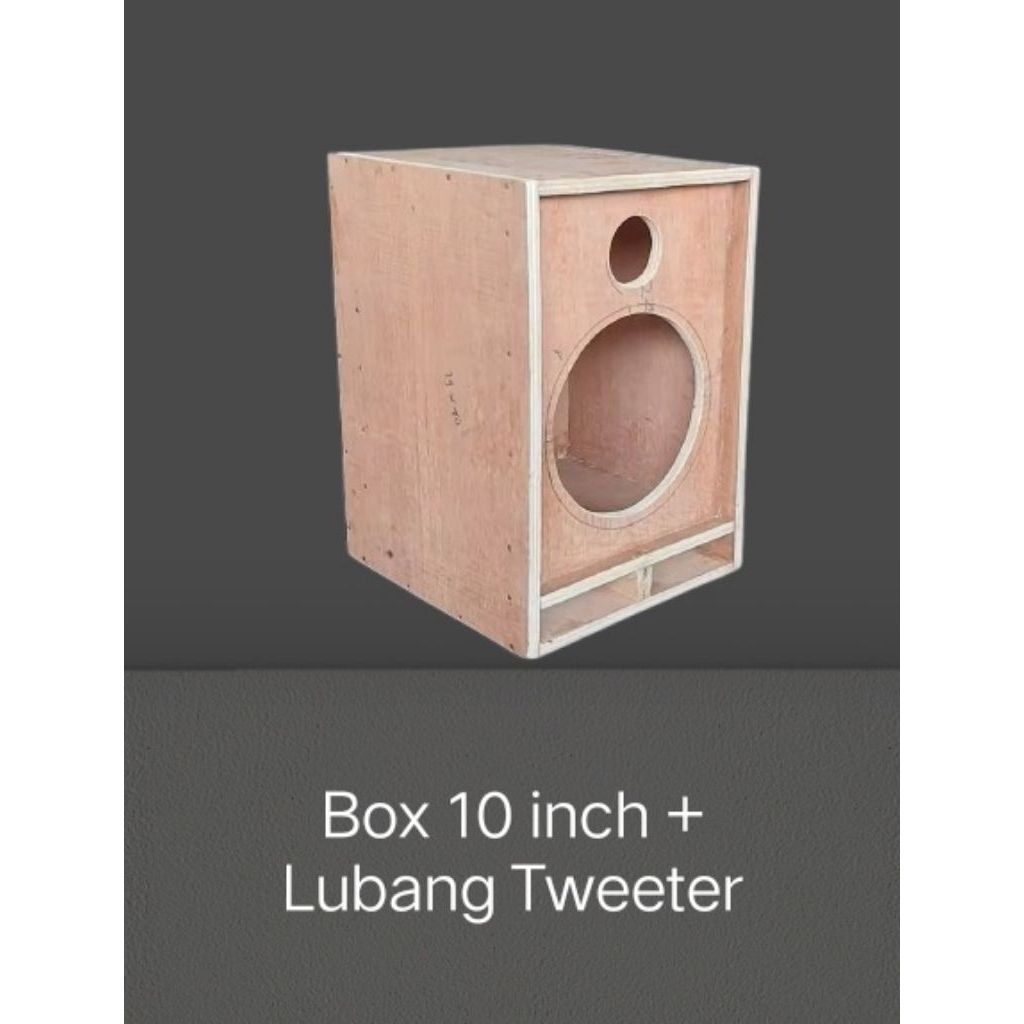 Box Speaker 10 inch Single + Lubang Tweeter