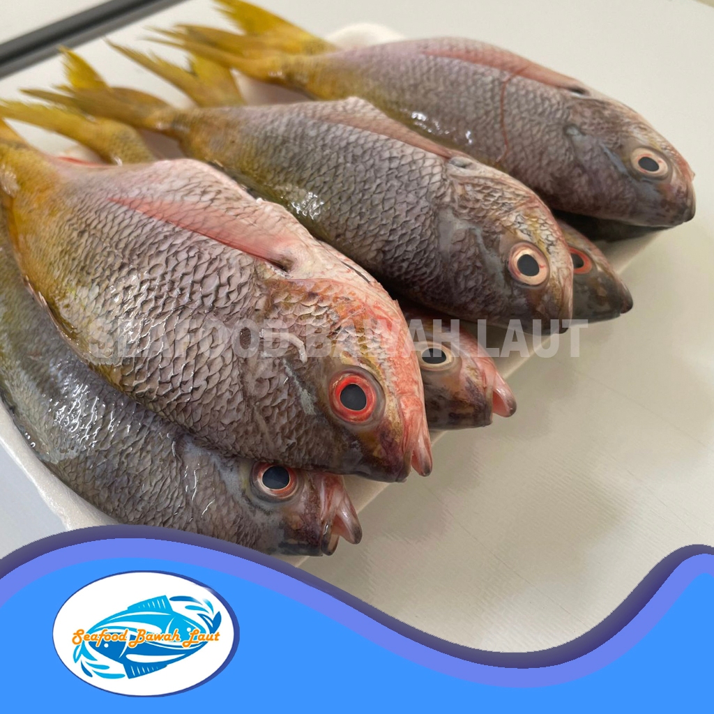 

Ikan Ekor Kuning (1kg)