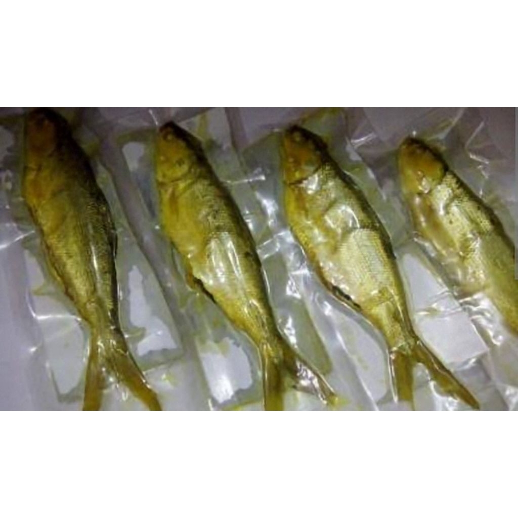 

IKAN BANDENG PRESTO VACUM 400 GRAM dan 1KG