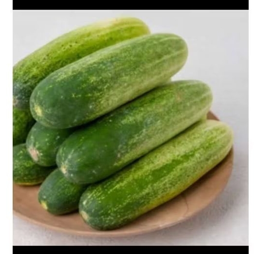 

KETIMUN UKURAN BESAR PER 1 BIJI