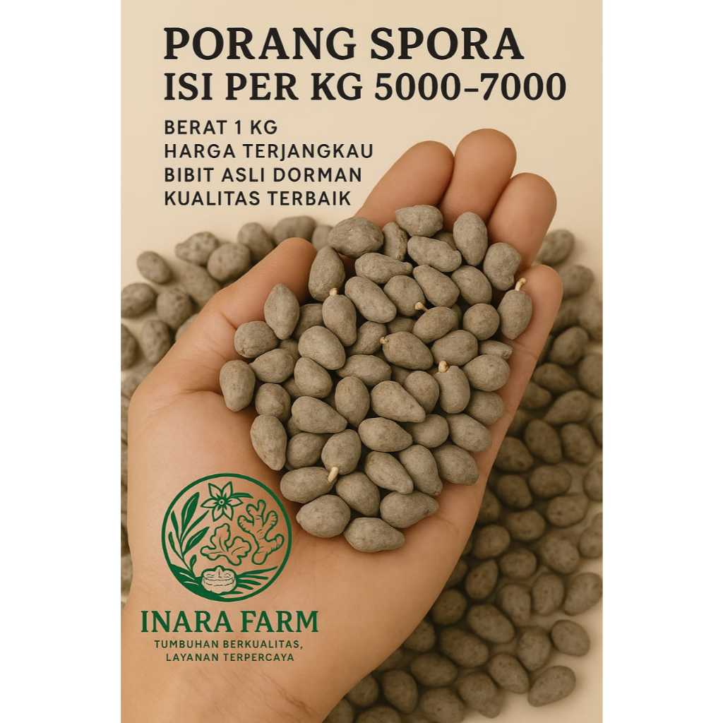 Bibit Porang Spora / Bunga 1 kg | Isi ±5000–6000 | Dorman Asli Pacitan | Sortir Manual | Bukan Tebas