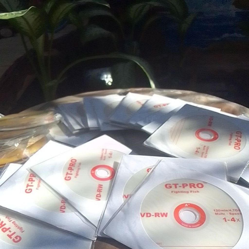 DVD-RW Plus GT-Pro DVD Kosong disc