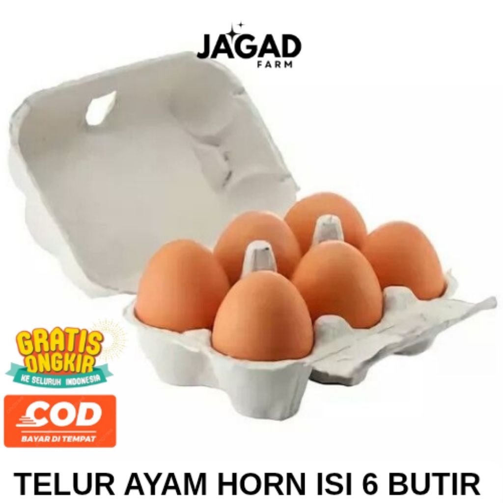 

TELUR AYAM HORN ISI 6 BUTIR