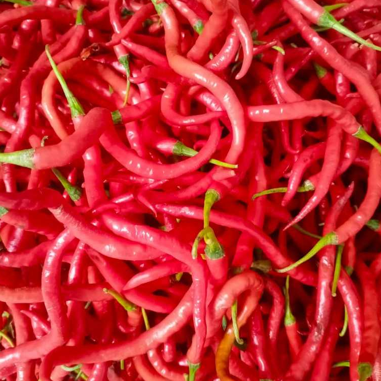 

1000gr cabe merah keriting fress petikan langsung dari petani