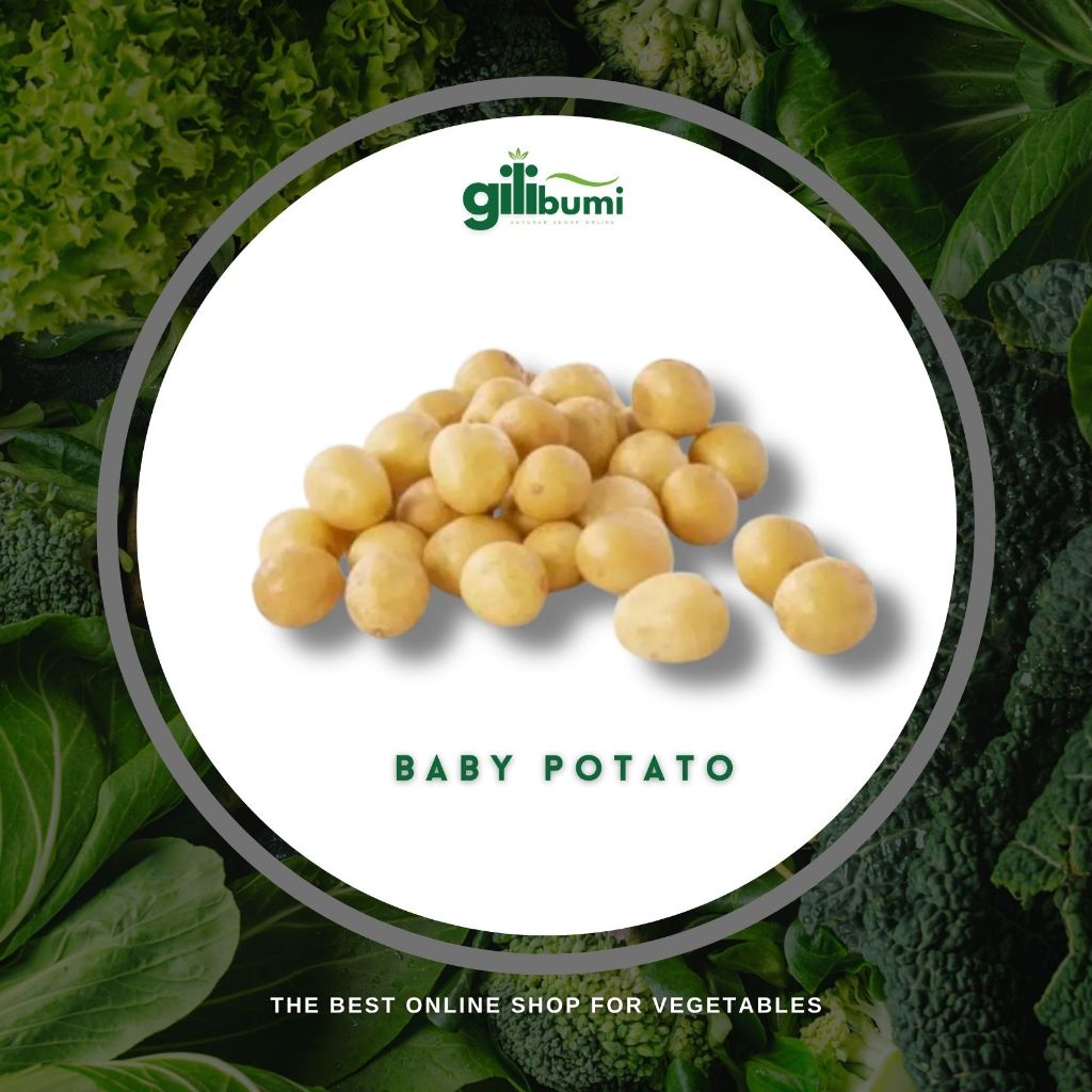 

Baby Potato / Kentang Kecil (250gr)