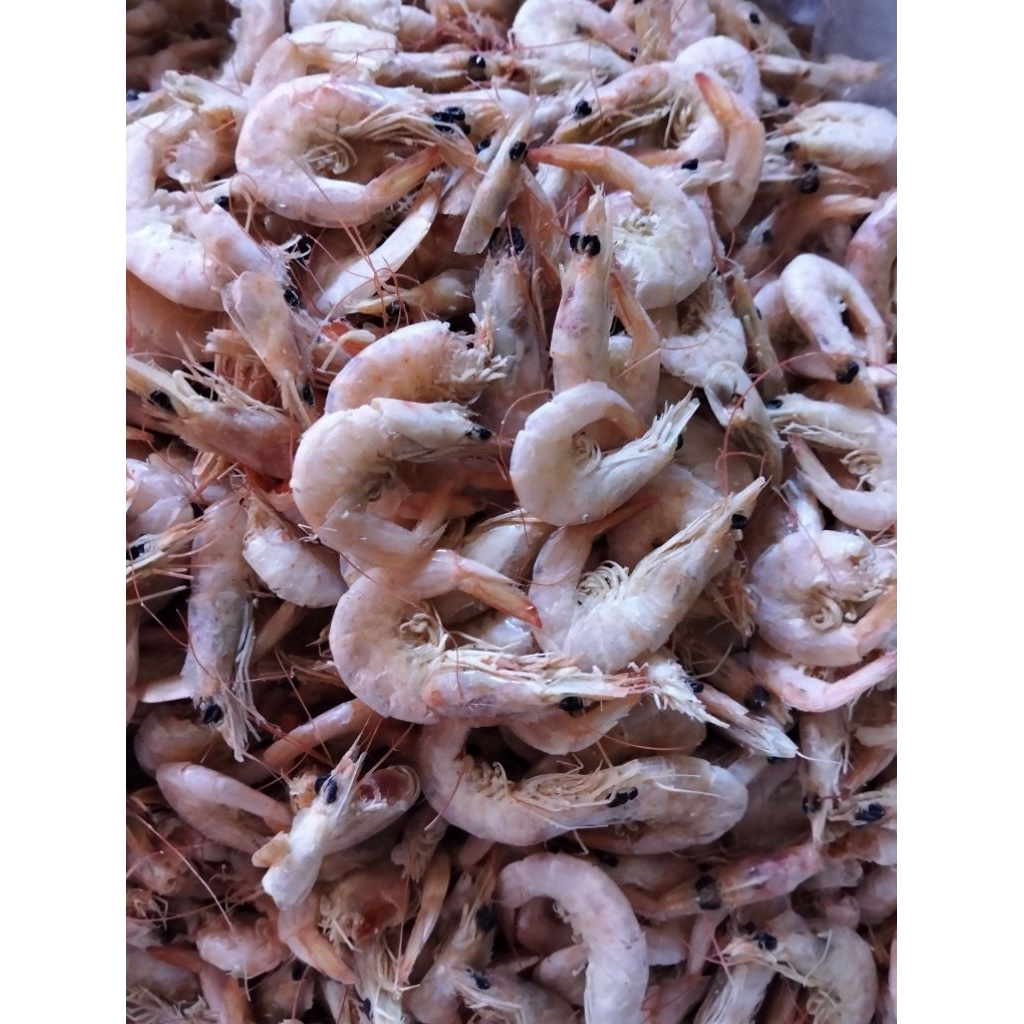 

Udang Manis