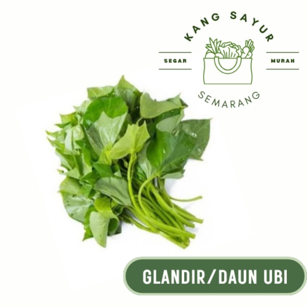 

Sayur Glandir/Daun Ubi 1 ikat - Sayur Segar Online Semarang