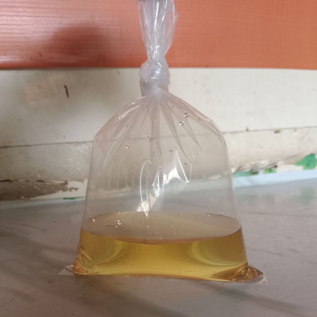 

Gula Putih Cair Buat 2 butir kelapa