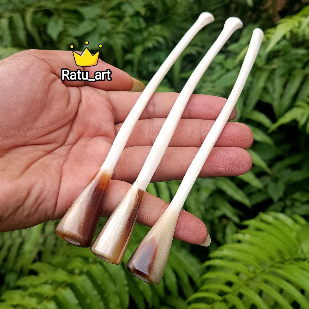 Once Pipa Tulang Kalong Asli Panjang 17-18cm