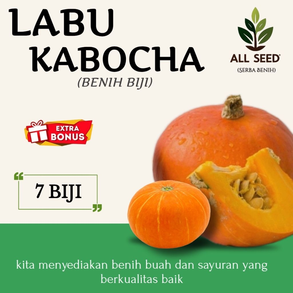 ( 7 biji ) Benih biji labu kabocha, bibit biji labu jepang/kabocha