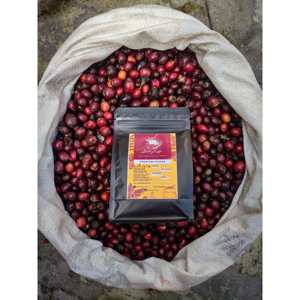 

BUBUK KOPI ROBUSTA PETIK MERAH PREMIUM