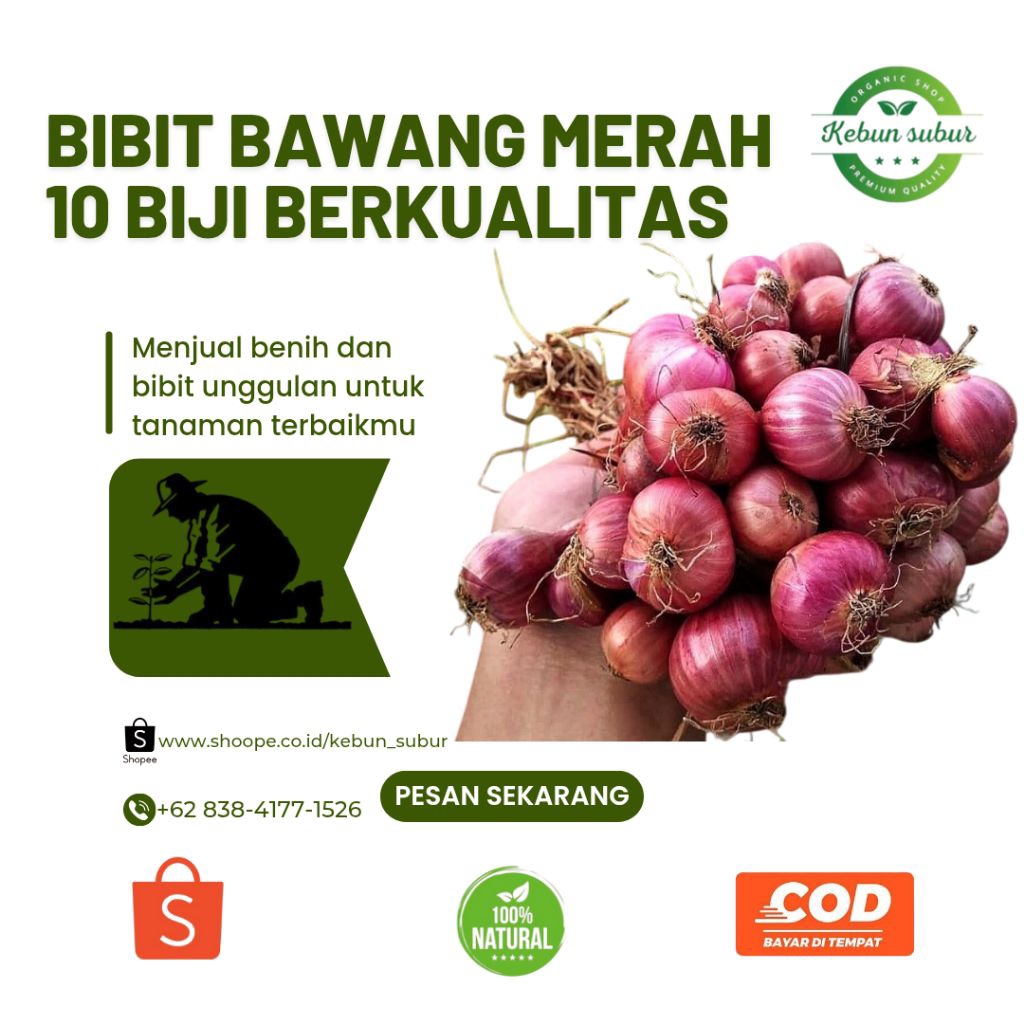 

KEBUN_SUBUR - Bibit 10 Biji Sayur Bawang Merah