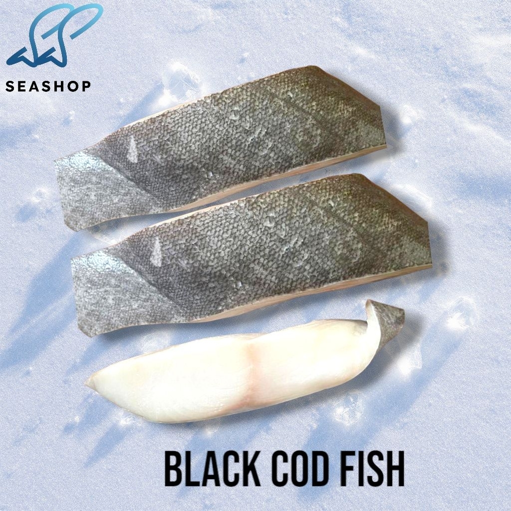 

Black Cod Fish - Ikan Cod Import - Black Cod Alaskan