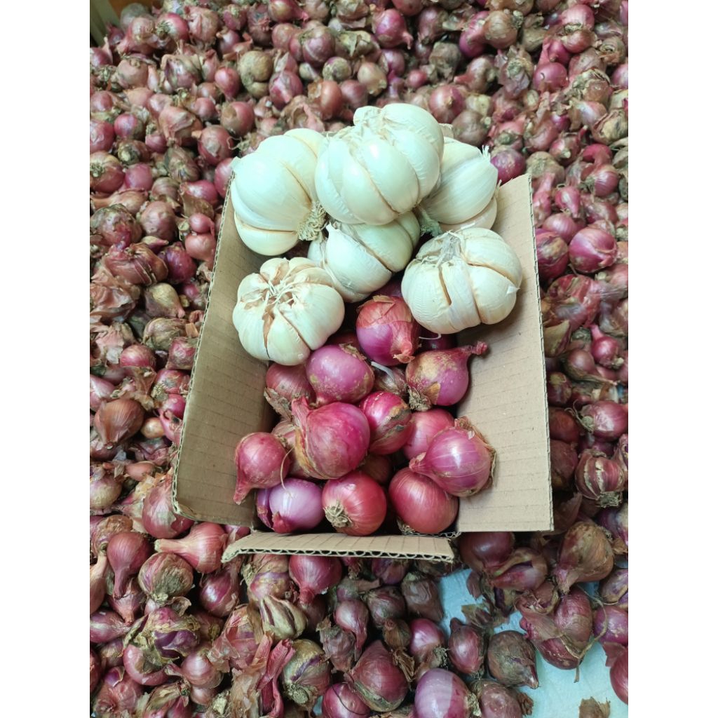 

bawang CAMPUR 1kg fresh bawang putih & bawang merah