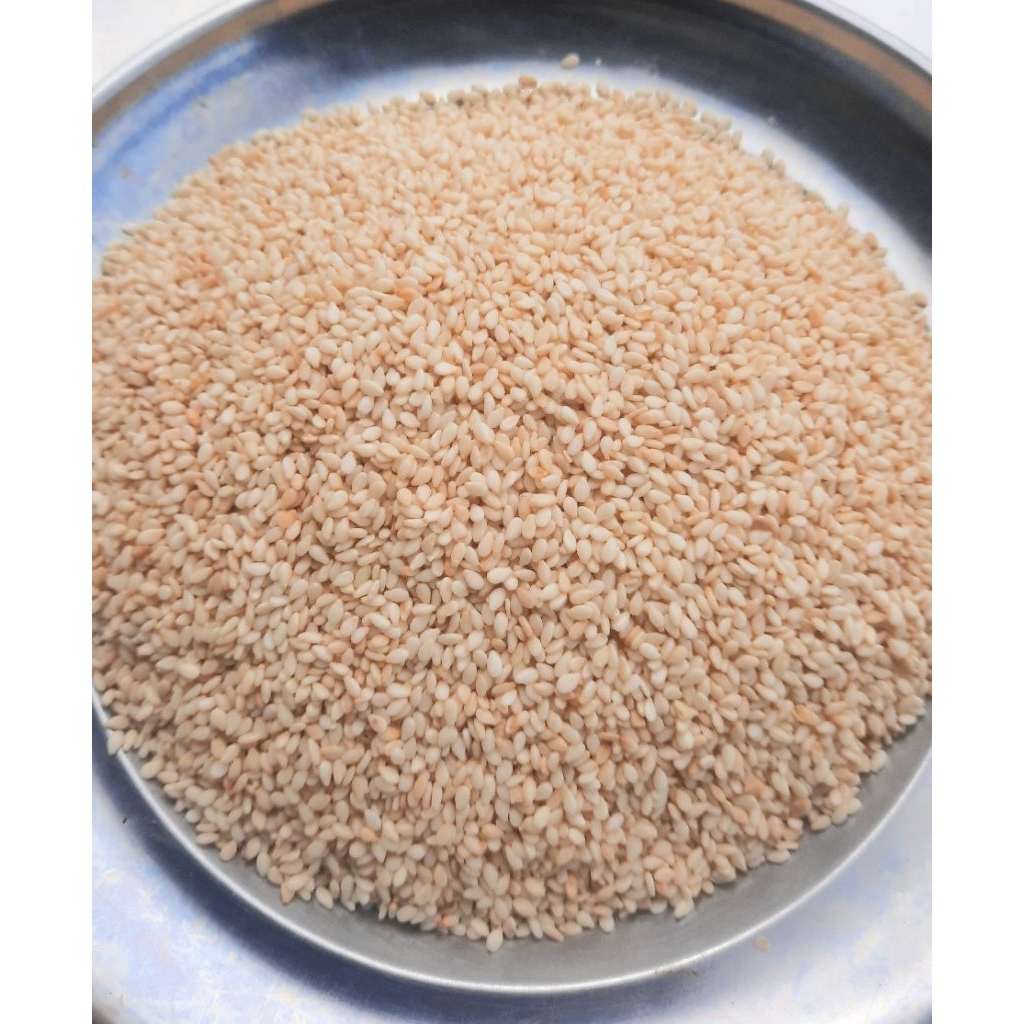 

Wijen Putih Impor Premium Sangrai Siap saji, kualitas terbaik