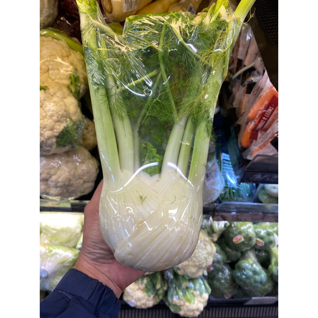 Fennel autralia | fresh fennel import autralia 500 grm