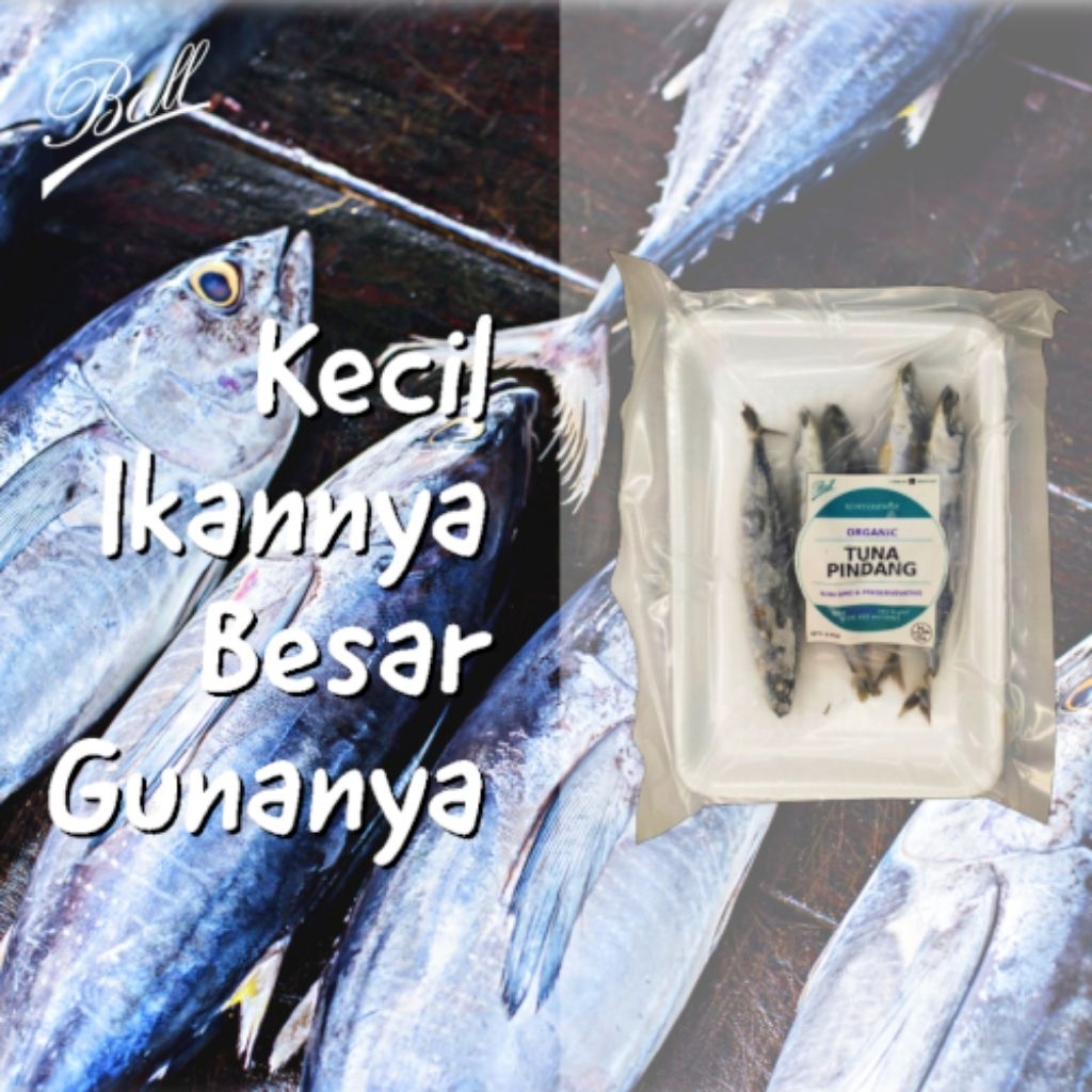 

Ikan Pindang Tuna