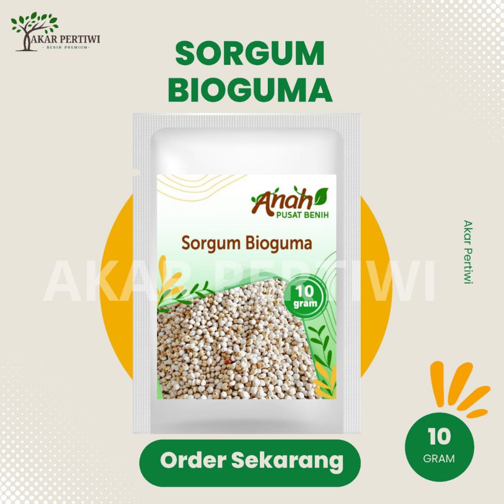 Akar Pertiwi - Benih Biji Sorgum Bioguma 10 Gram