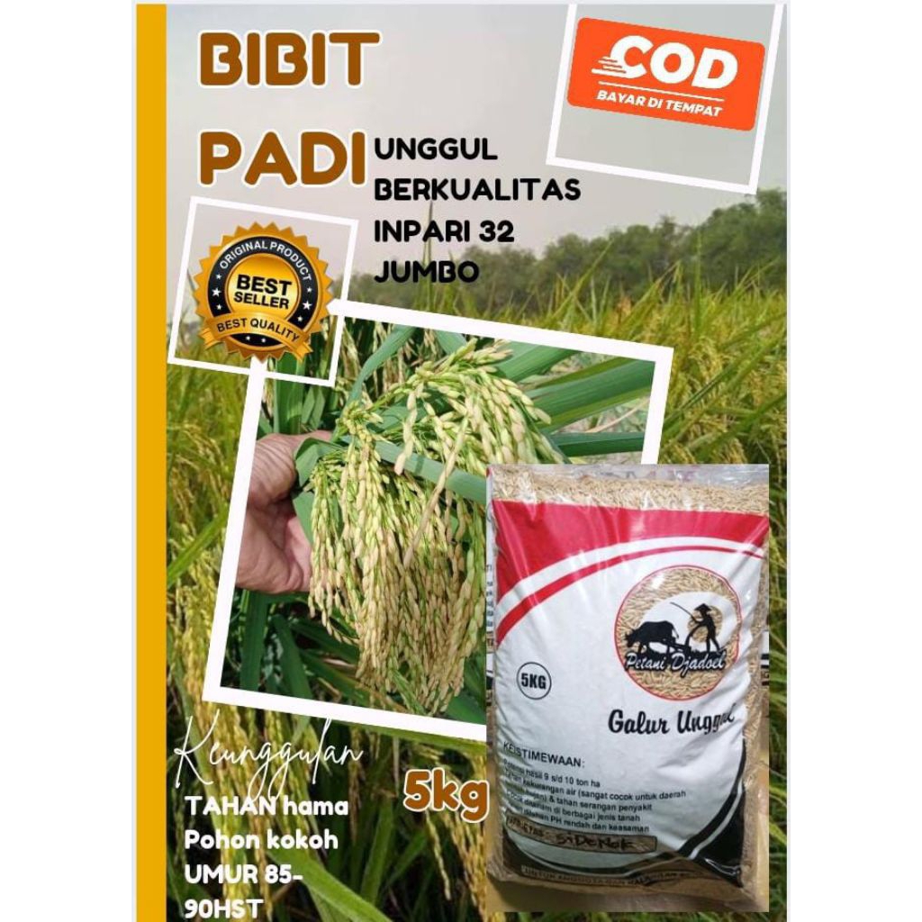 Adelonz Benih Padi Inpari 32 Jumbo 5Kg