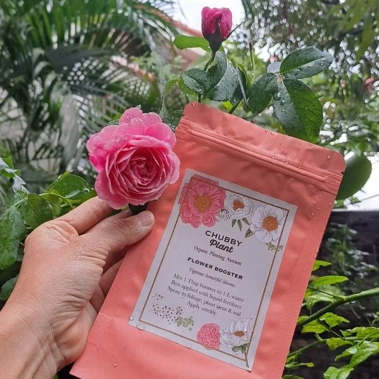 BOOSTER BUBUK BUNGA LEBAT chubby Plant pupuk bubuk nutrisi makro mikro flower organik perawatan tana