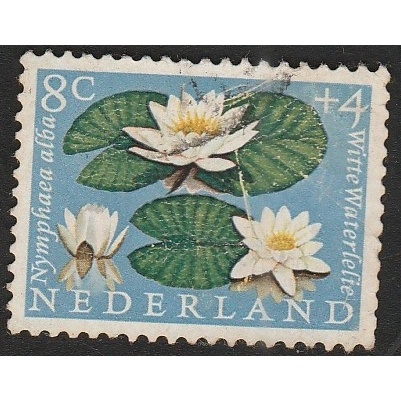 

A 10427 SATU BUAH PRANGKO NEDERLAND NOMINAL 8C TEMA TANAMAN AIR NYMPHAEA ALBA DENGAN KONDISI SUDAH ADA CAP