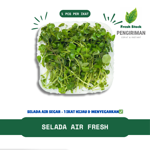 

SELADA AIR 1 PCS PER IKAT | FreshStock