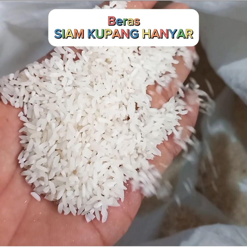 

Beras SIAM KUPANG HANYAR - beras lokal dari kalimantan. beras enak dan murah