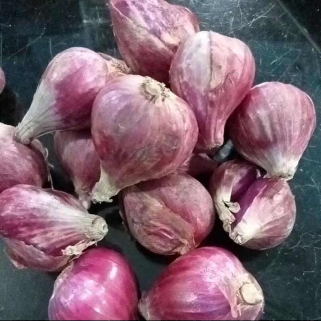 

Bawang Merah BEREBES LOKAL BESAR BERAT BERSIH 1KG