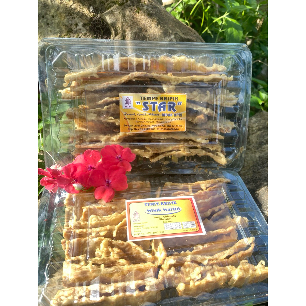 

KRIPIK TEMPE KHAS WONOGIRI PAKET BUNDLING 2Pack