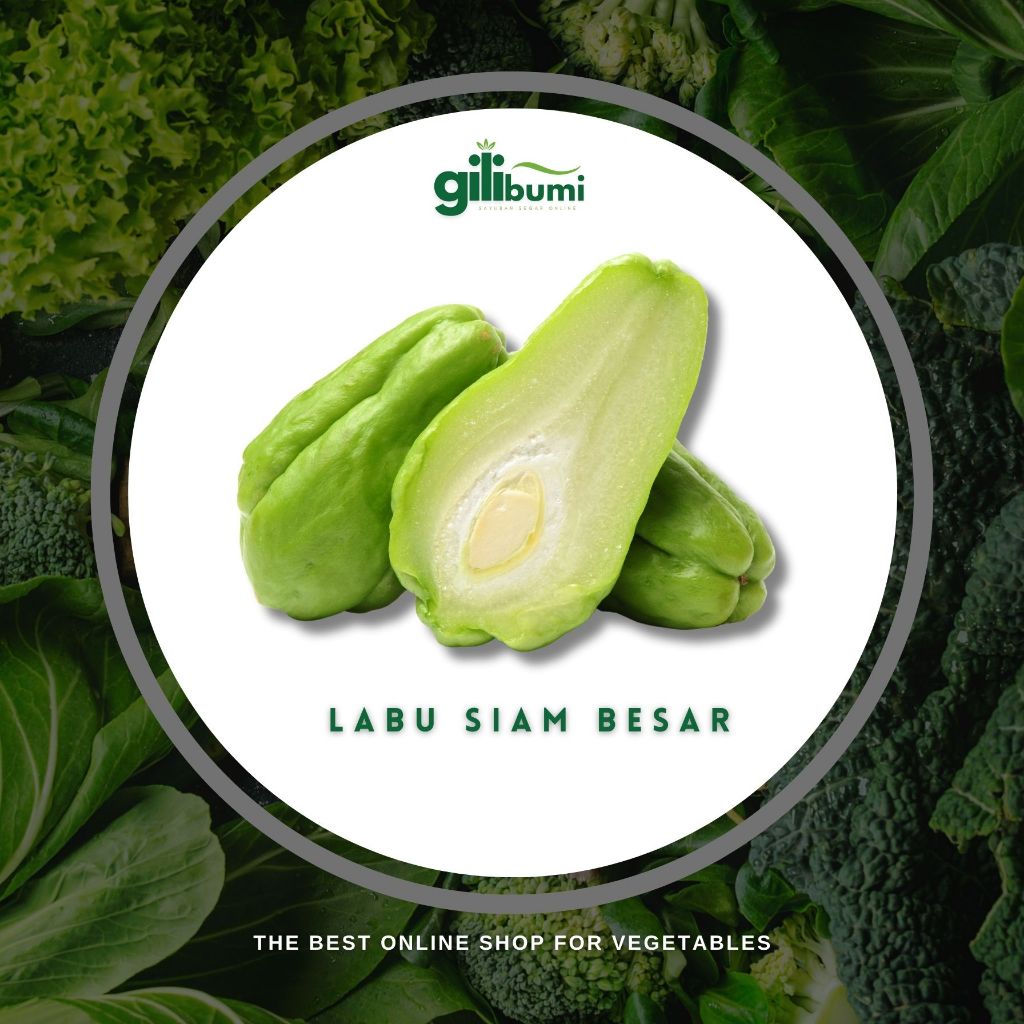 

Labu Siam Besar Segar