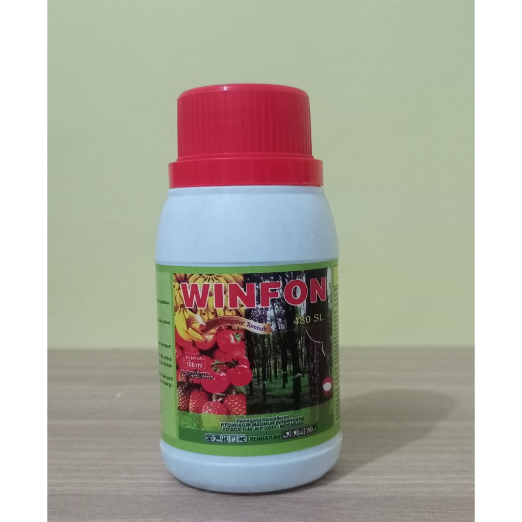 Pematang buah WINFON 480SL 100 ml