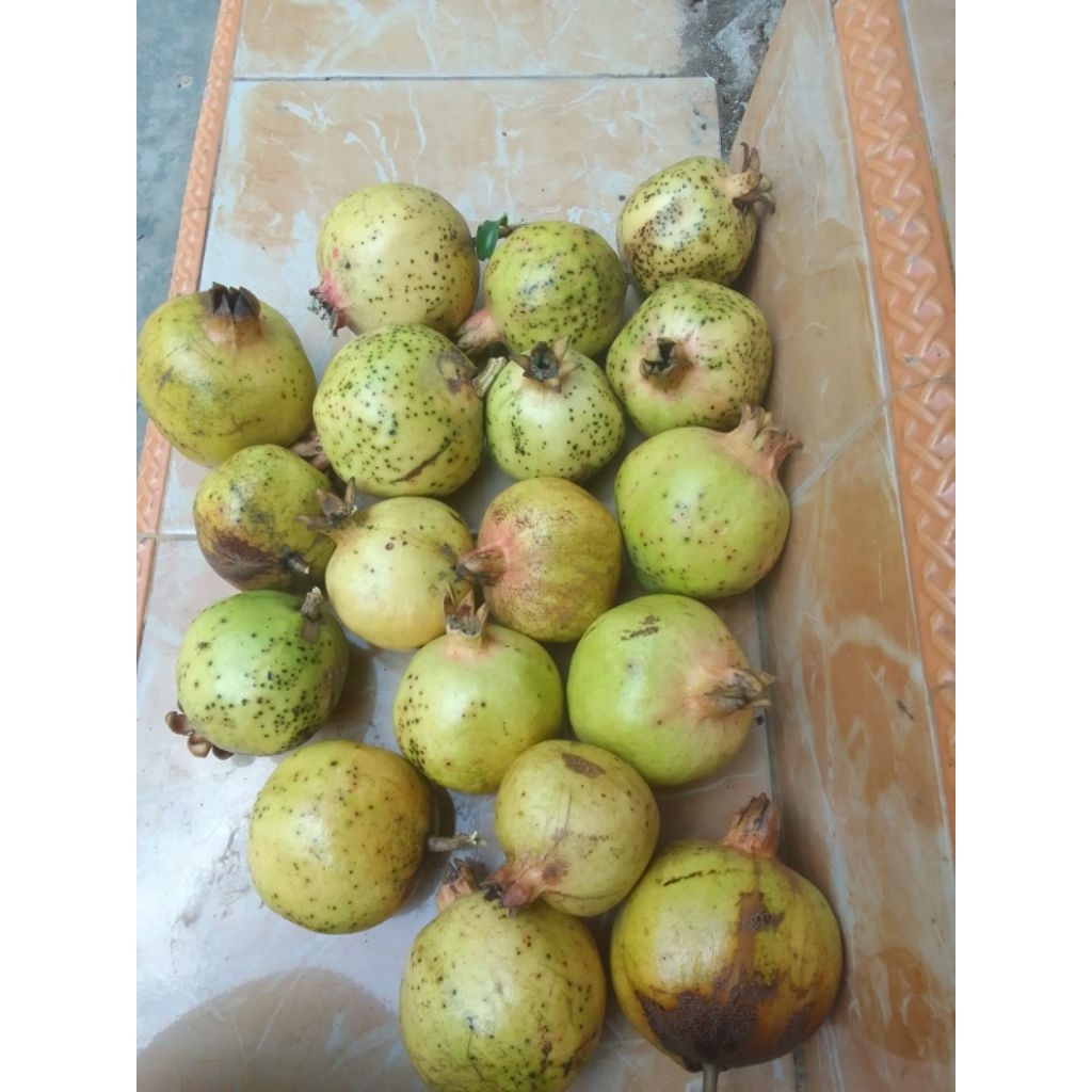 

buah delima putih 500 gram