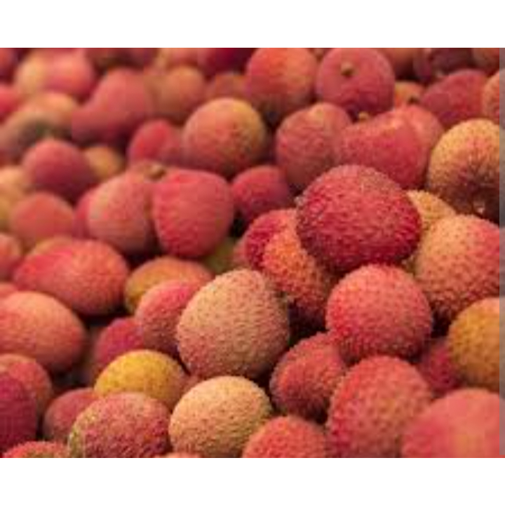 

Buah Leci Medan Daily Market