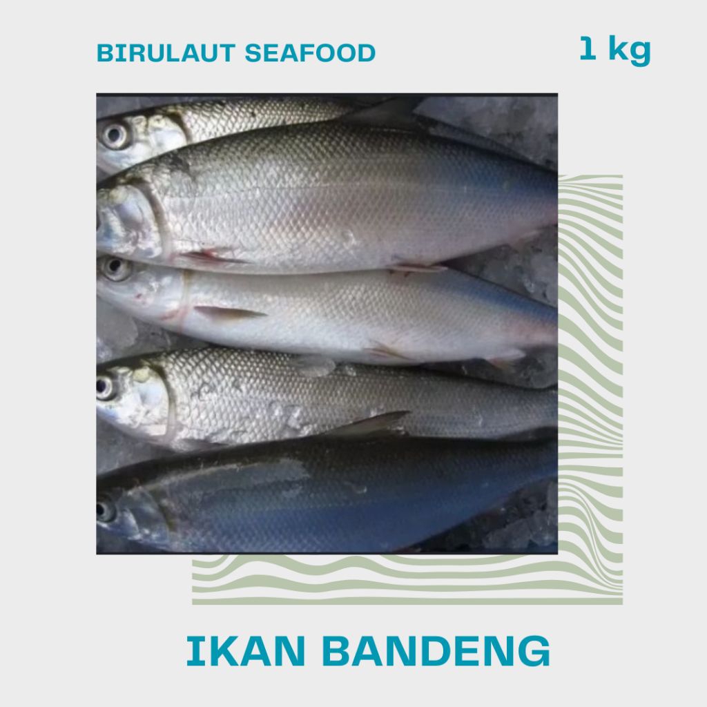 

IKAN BANDENG SEGAR 1kg