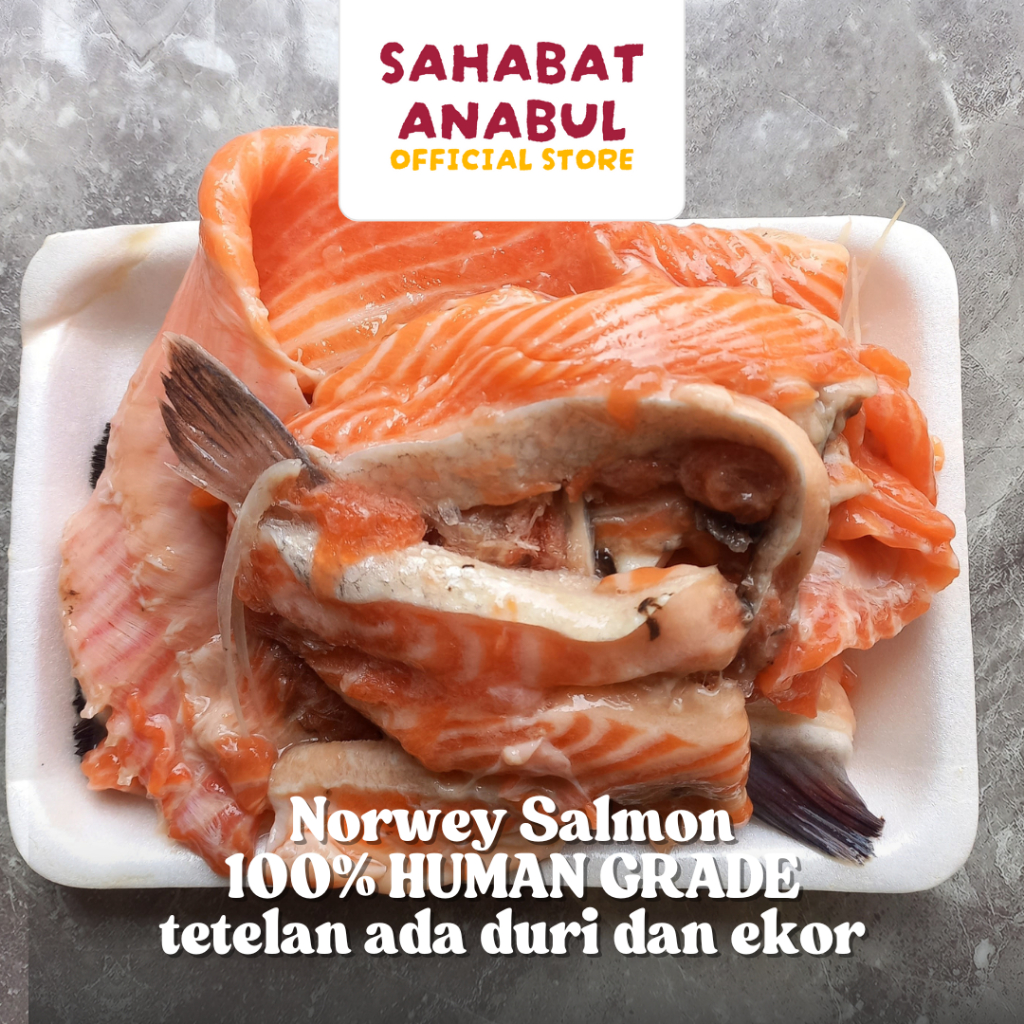 

TETELAN SALMON NORWEGIAN / SALMON PROCESSED / TRIMMINGAN IKAN SALMON NORWEY