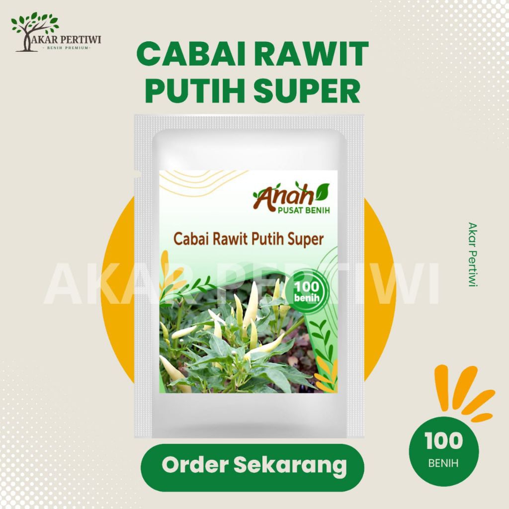 Akar Pertiwi- Benih Biji Cabai Rawit Putih Super 100 Benih