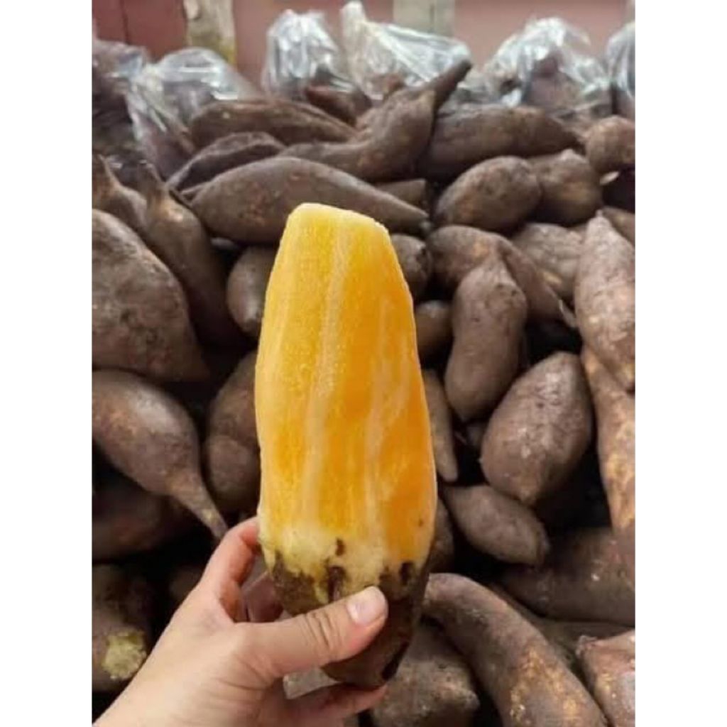 

umbi ubi huwi fresh super 500 gram