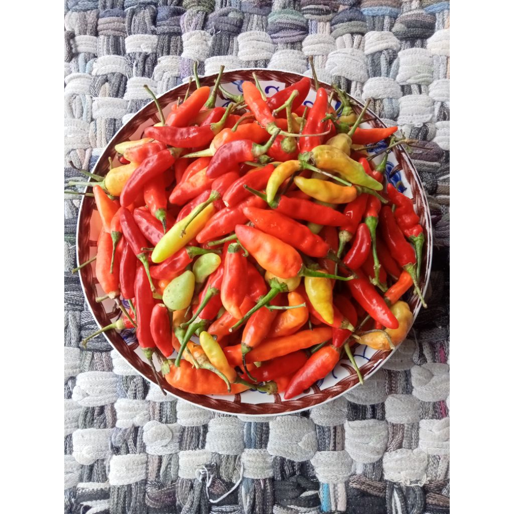 

Cabe Rawit Cabai Merah Segar Lombok Fresh Kiloan 1/2 kg 500gr - Aneka Bumbu Dapur