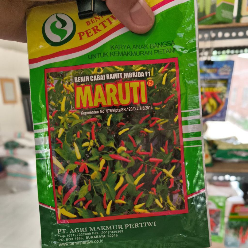 CABE RAWIT HIBRIDA F1 MARUTI (BENIH PERTIWI)