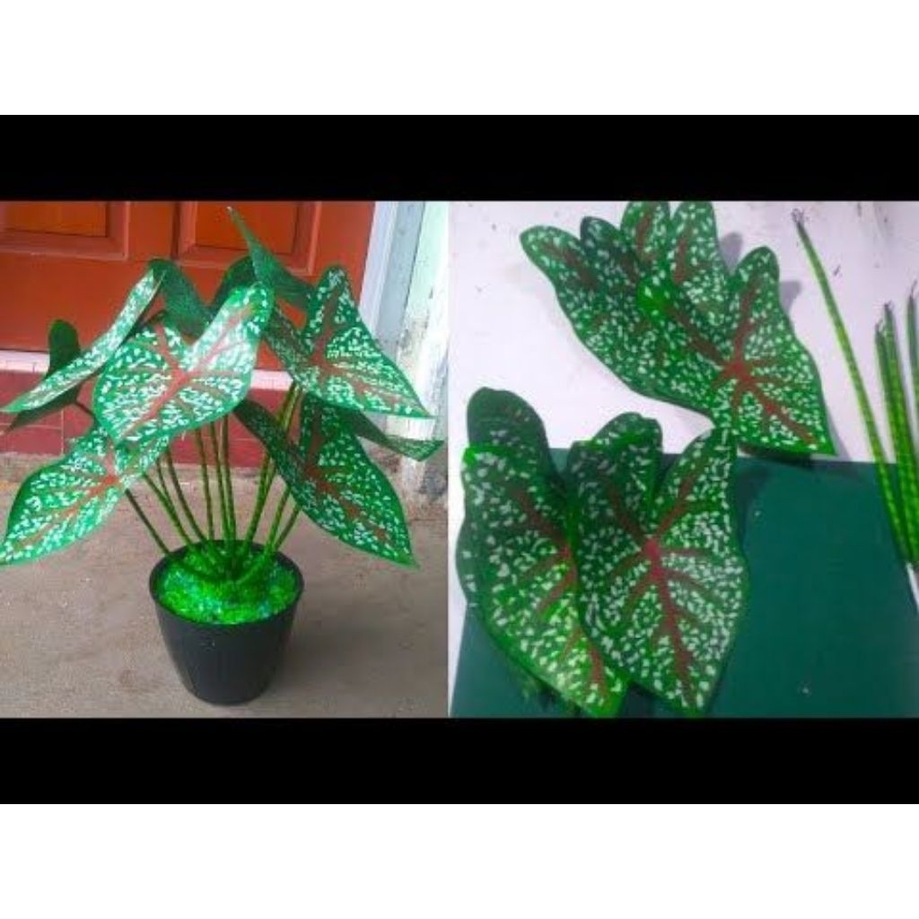 kerajinan tangan bunga keladi atau daun talas dari plastik kresek