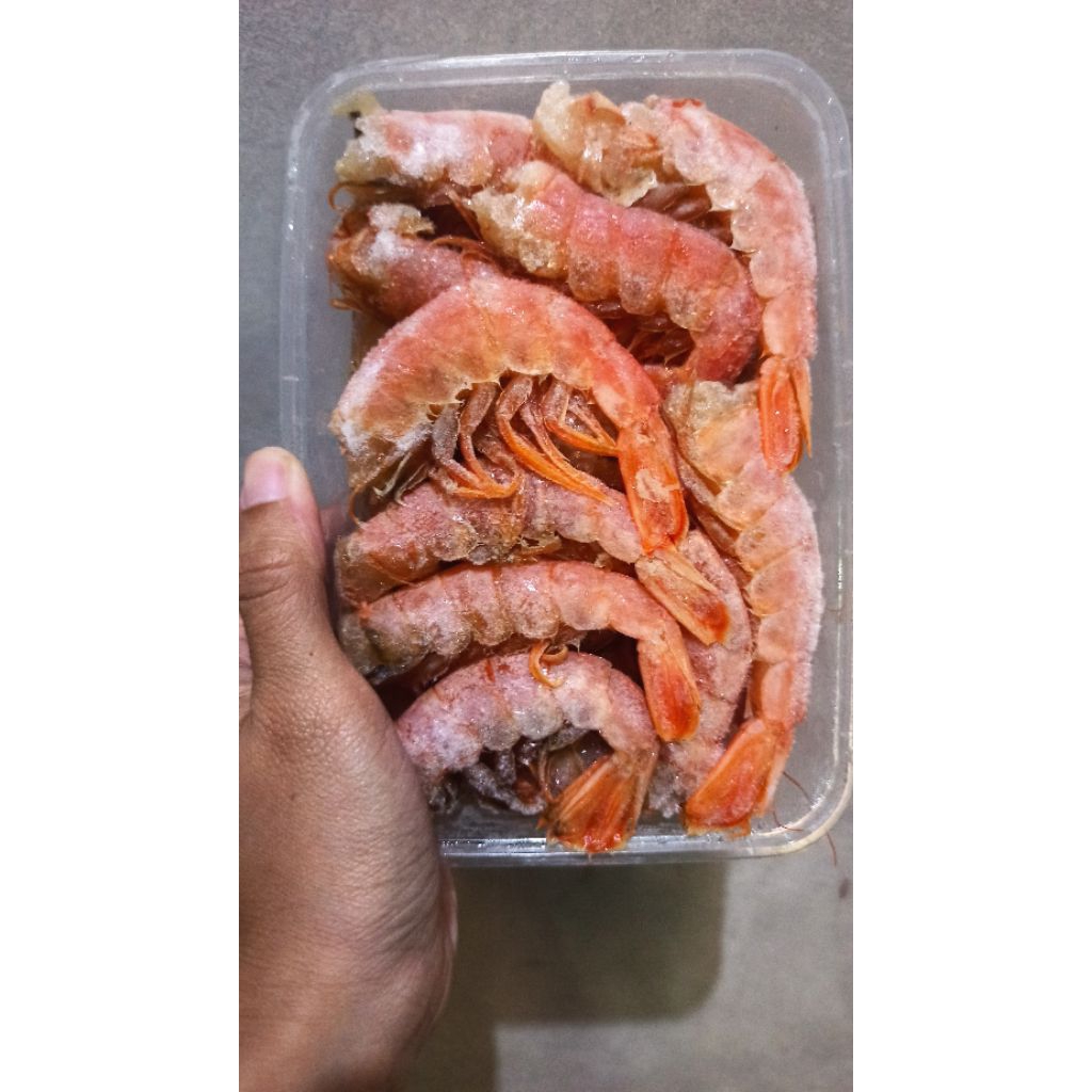 

Titik Frozen | Udang Argentina HL kemas thinwall