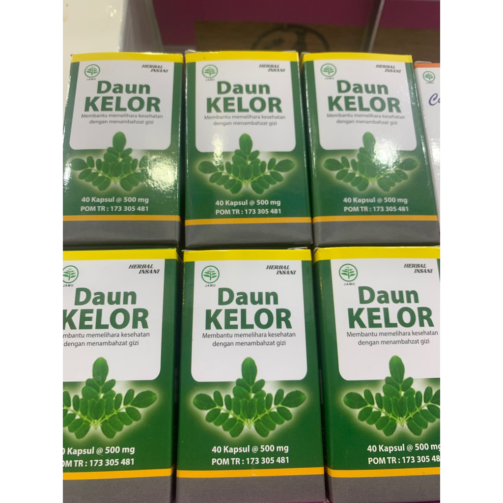 

daun kelor isn