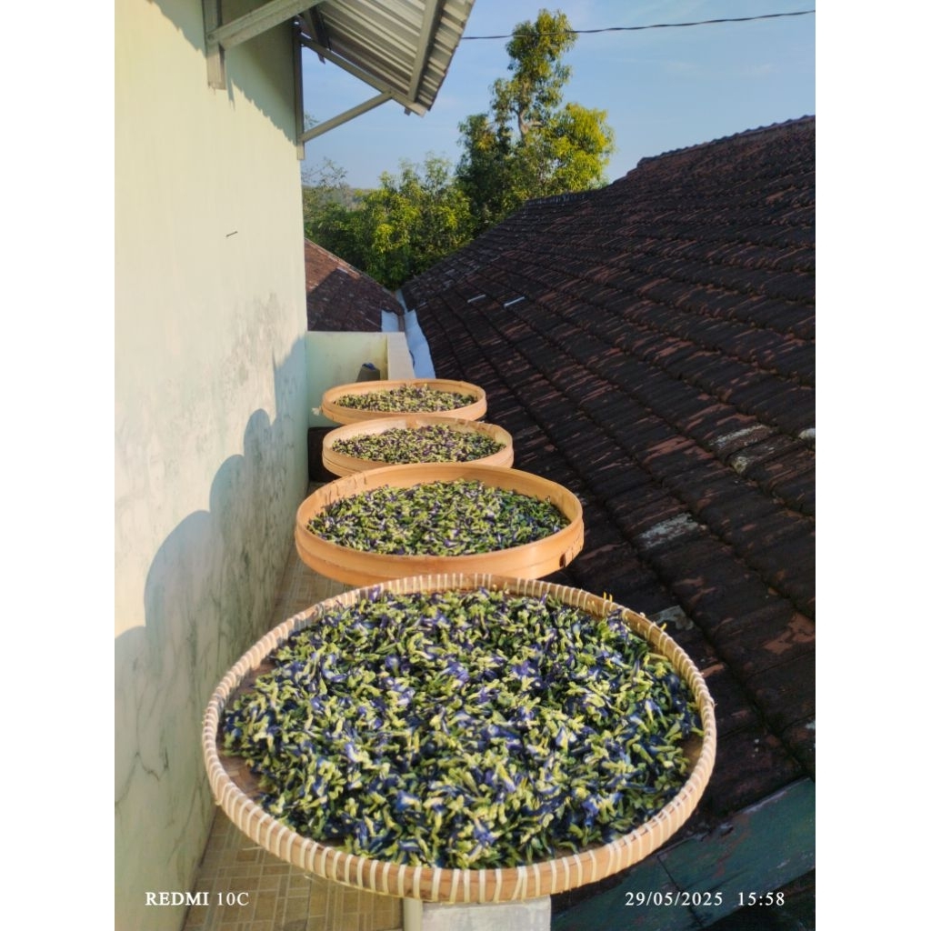 

Bunga Telang kering 100 gram