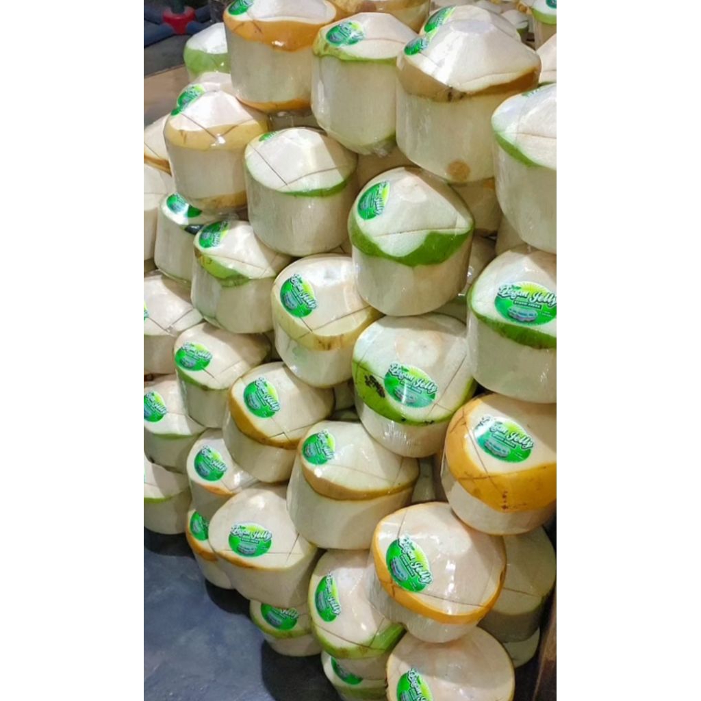 

Degan Jelly Syahid Aneka