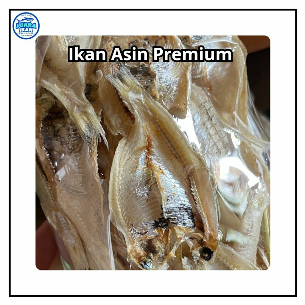 

Ikan Asin JUARA Premium serba 10ribu murah fresh Kualitas COD - Ikan Kalapan/Pakang Tawar