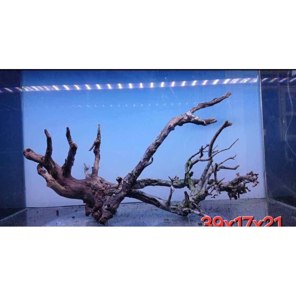 santigi laut tenggelam