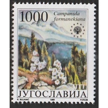 

a 12679 SATU BUAH PRANGKO JUGOSLAVIJA TEMA CAMPANULA FORMANEKIANA DENGAN KONDISI BELUM ADA CAP
