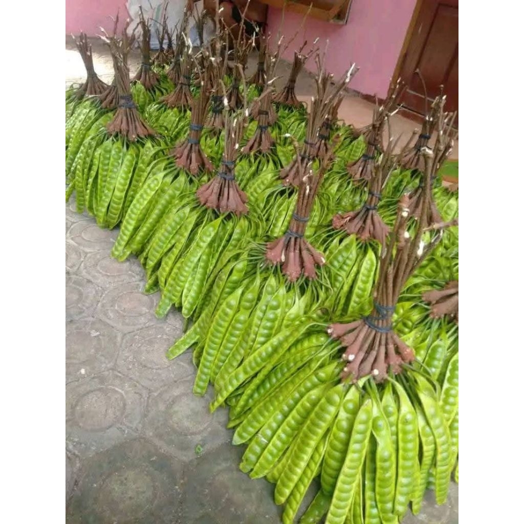 

pete 1papan,lalapan /ikat /10papan